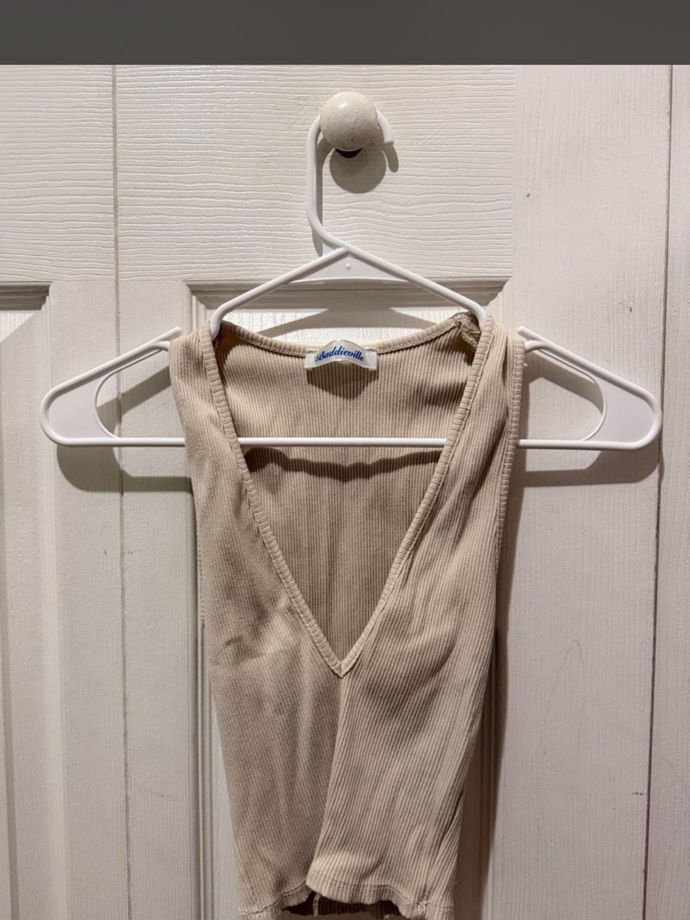 Baddieville Nude Plunge Crop Top